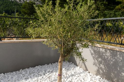 Villa Sirius - 30